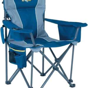 Honey Bee Fairy String Lights - 30LED