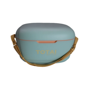 Cooler Box - 12L -Mint